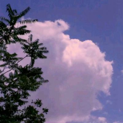 虚拟战役官方版下载